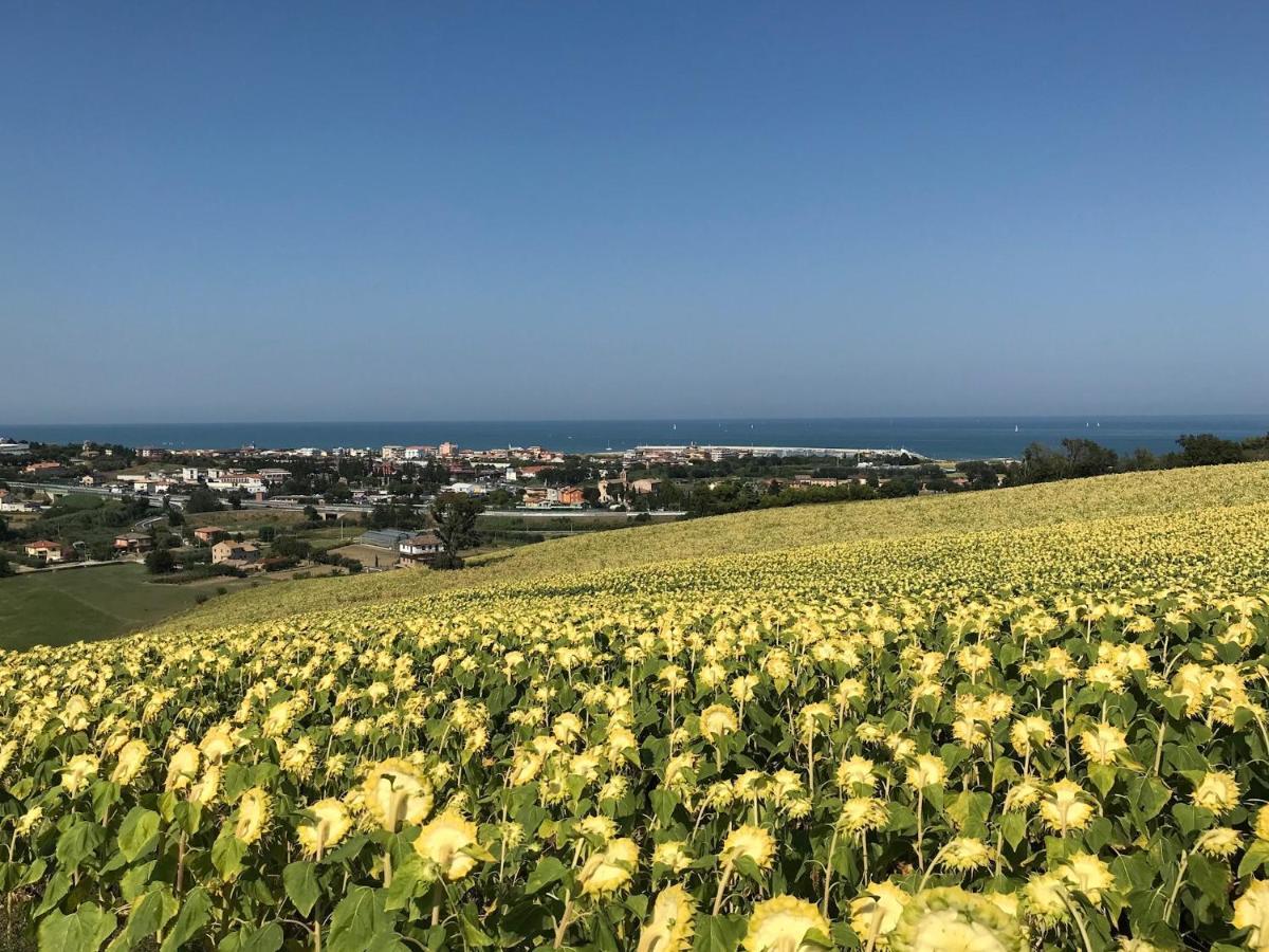 Agricampeggio Abbruzzetti Marina Palmense Εξωτερικό φωτογραφία